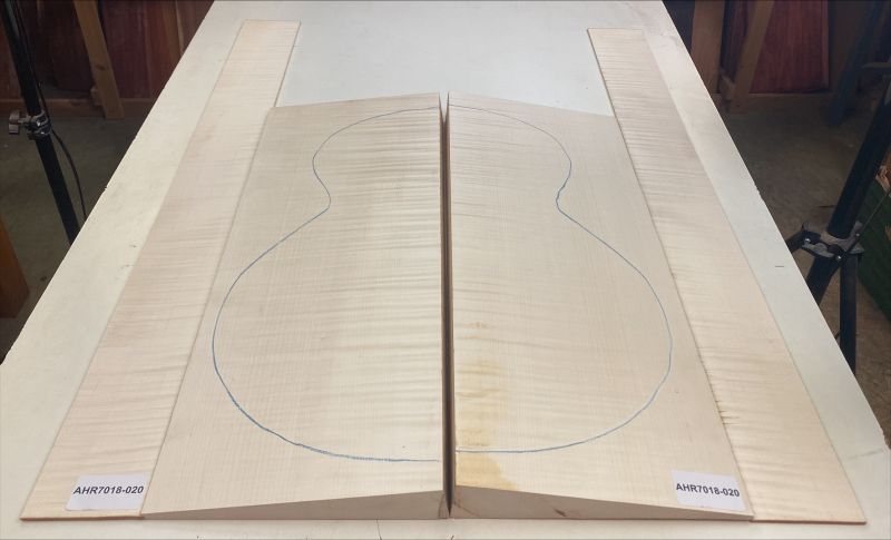 Boden & Zargen Ahorn, europ. Archtop Einzelstück #020